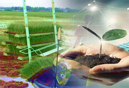 Sustainable Agriculture Through Soil Testing